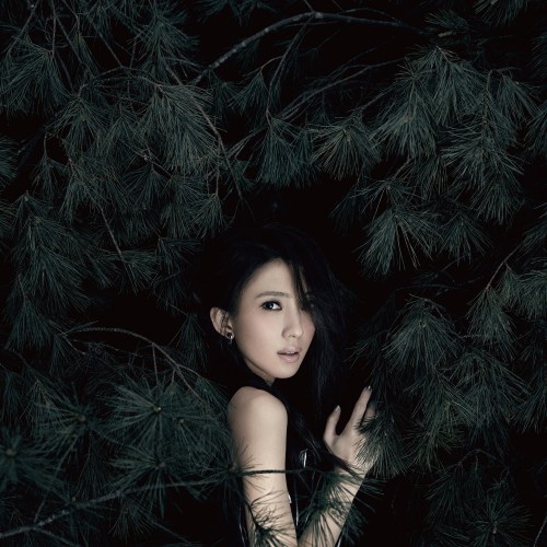 封面貼盤精裝裱外表紙-ol